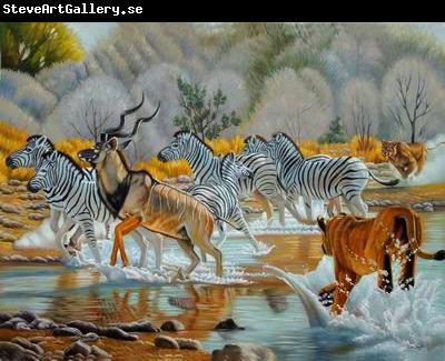 unknow artist Zebras 018